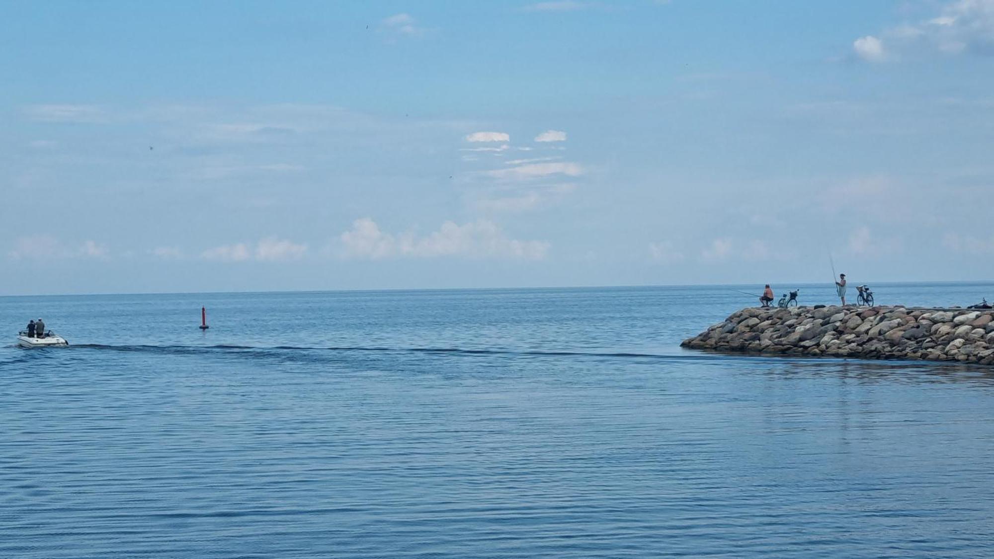 Mustvee Puhkemaja Villa Bagian luar foto